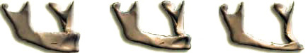 image01